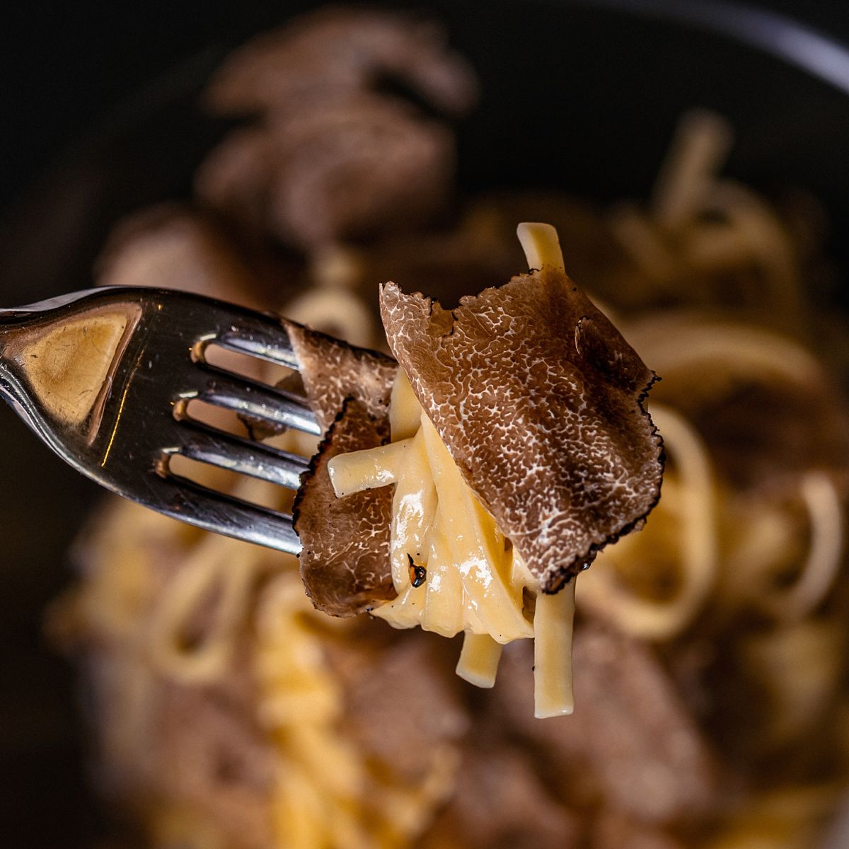 Tartufo nero pregiato - immagine 3