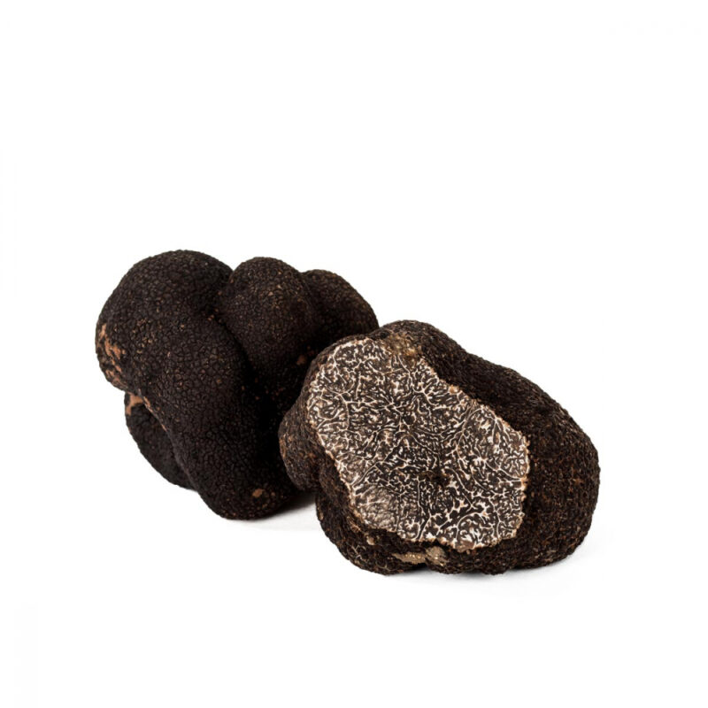 Tartufo nero pregiato