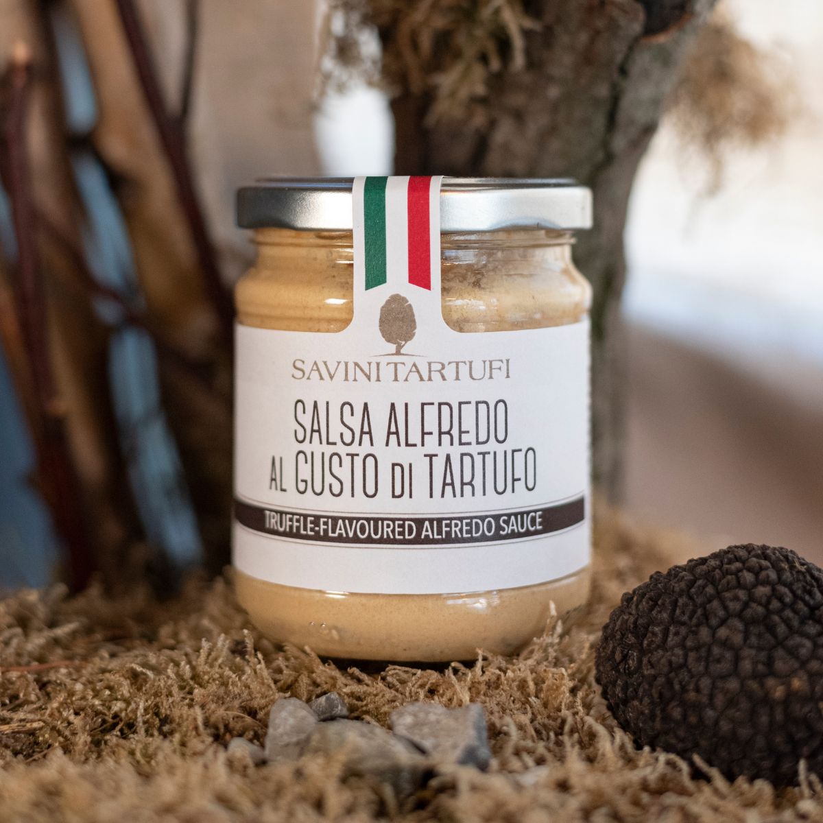 Salsa Alfredo al gusto di Tartufo